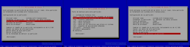 Archivo:Instalación con Alternate CD proceso Particionado de discos Manual Partición home.jpg